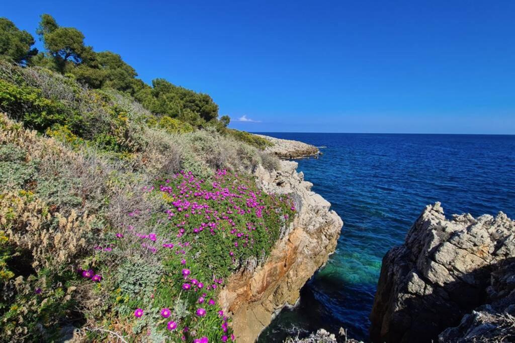 Casalionelantibes 70 Sqm Apartment With Garden And Parking Exteriör bild