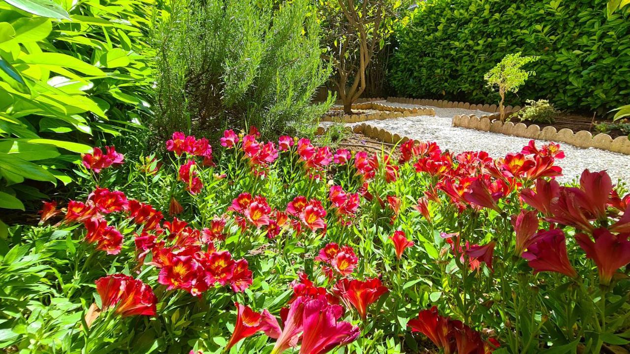Casalionelantibes 70 Sqm Apartment With Garden And Parking Exteriör bild