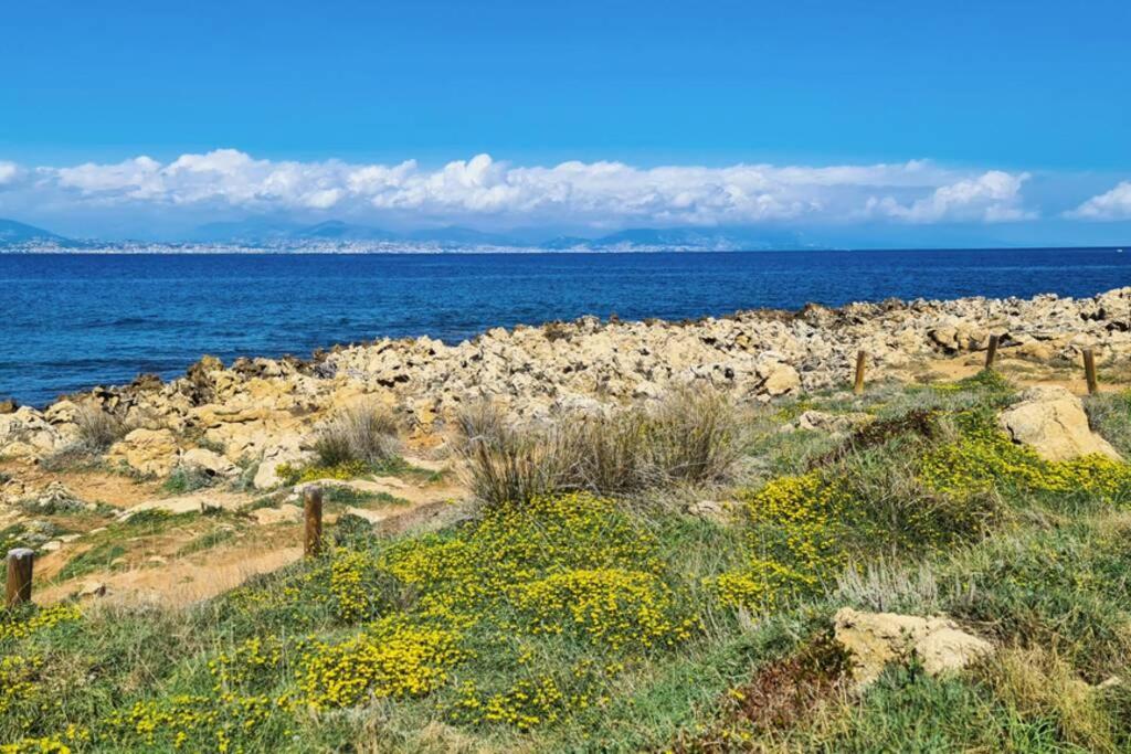 Casalionelantibes 70 Sqm Apartment With Garden And Parking Exteriör bild